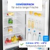 Bomann KG7353-Black 268L fridge and freezer
