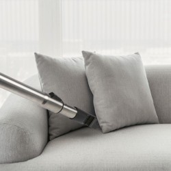 Aspirateur traineau avec sac 700W anthracite Proficare PC-BS3141-Anthracite