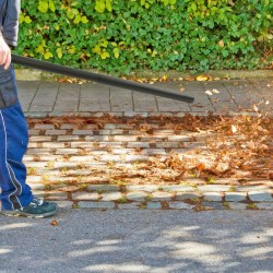 Clatronic BS1313 wet/dry hoover